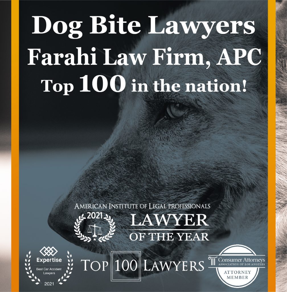 Dog Bite Lawyers
