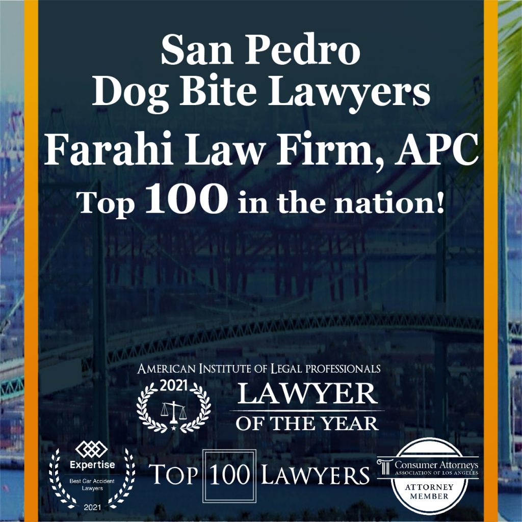 San Pedro Dog Bite Lawyers