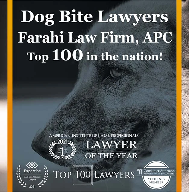 Dog Bite Lawyers in California