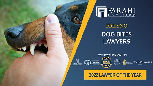 Fresno Dog Bite Lawyers