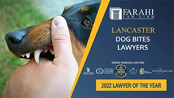 lancaster dog bites lawyers