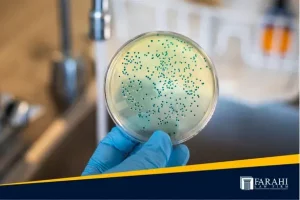 camp lejeune settlement thumbnail