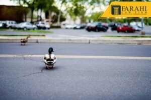 Father Fatally Struck by Car While Helping Duck Family