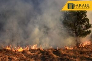 Actualización Del Incendio En Maui