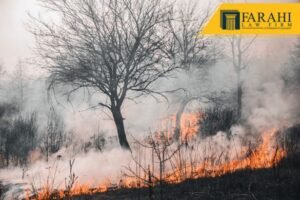 compensación por el incendio de Lahaina