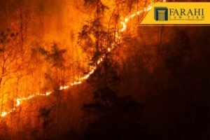 crisis de incendios forestales en Maui