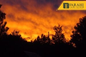 Maui wildfire updates