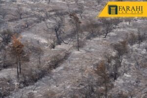 actualización del incendio en Maui