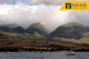 Maui wildfire property
