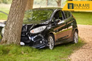 San Carlos Fatal Crash